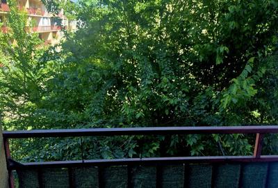 Oportunitate de investitie! Apartament 2 camere, etaj intermediar – Zona Porii - 9