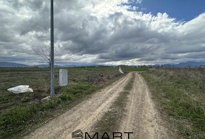 Teren intravilan 520 mp Harman - 4