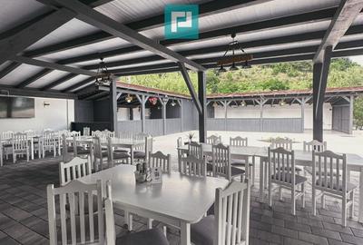 Restaurant Eșelnița, potențial turistic mare - 2