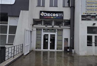 Hala de depozitare de inchiriat, 333 mp, Strada Cernauti - 1