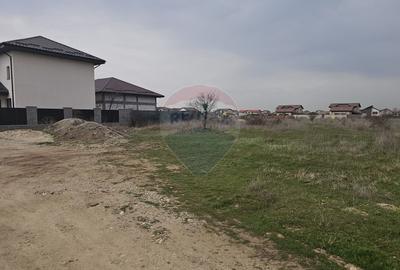 Teren de vanzare pentru casa 621mp plus drum Domnesti, str Diana - 12