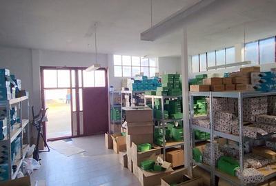 Spatiu Comercial: Vila 290mp + 4 spatii comerciale/depozitare - 18