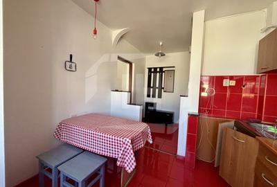 Apartament cu 2 camere, mobilat si utilat, cartier Grigorescu - 6