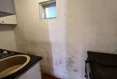 Casa Parter 43,40 mp + bucatarie anexa 13,40 mp - Parcul Carol - 14