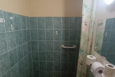 Apartament 2 camere, de vânzare, decomandat, Mănăștur, str. Gr. Alexandrescu - 6