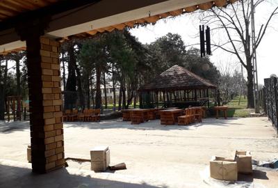 POPASUL CU PAUNI- DE 85, spre  URZICENI, inchiriere restaurant cu terasa - 7