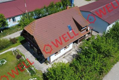 Hale industriale de vânzare în Valea Crișului! - 4