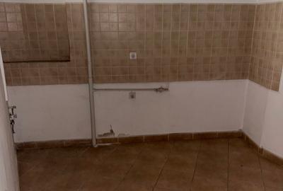 ARMENEASCA - Carol 4 camere 120 mp utili parter cu curte - 15