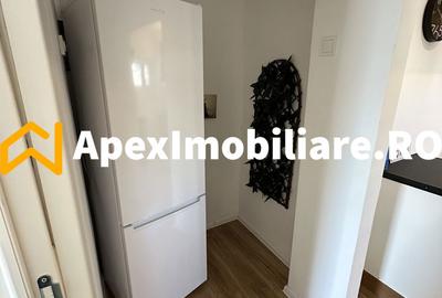 Apartament 2 camere de inchiriat Romana București | ApexImobiliare.ro - 9