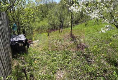 Teren cu Casuta de lemn in Sotrile (langă Valea Doftanei) - 9