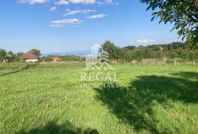 Teren de vânzare în Ghelari – 1.262 mp, intravilan - 4