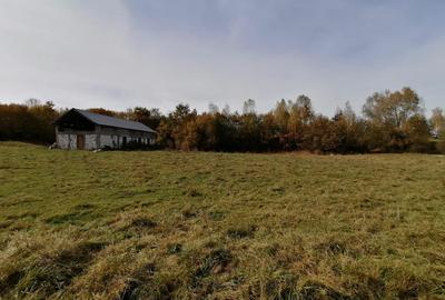 Teren in Sohodol-Bran - 6