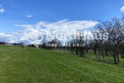 Teren Extravilan Rasinari 1500 mp | Zona deosebita - 1