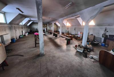 Spatiu mixt, hala + birouri, 525mp construiti, zona Bartolomeu - 7