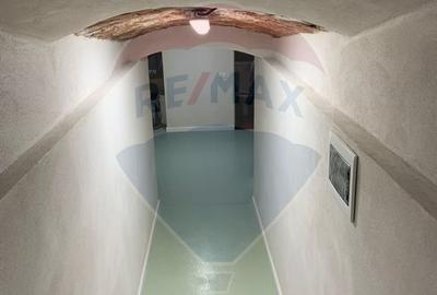 Spațiu comercial de închiriat 40 mp, în zona Decebal - 20