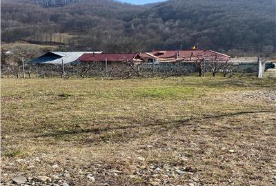 Teren de vanzare pentru constructii Slanic Moldova - 2