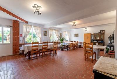 Casa + Pensiune deosebita - Orlat, Sibiu - 44