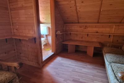 Casă rezidențială cu mansardă și garaj, teren 5000mp, Cateasca, Arges - 17