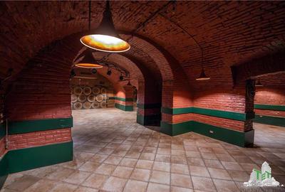 Proprietate Piata Unirii - teren  1000mp +  2 constructii - 10