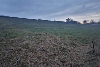 De vanzare teren 1,2 Ha in Laureni - 1