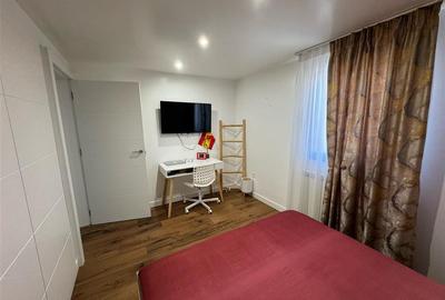 Casa P+M partial mobilata de vanzare in Campineanca (toate utilitatile) - 28