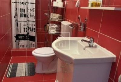 Apartament 102 mp utili la casa pe C-tin Noica in Sibiu - 14