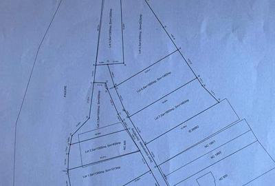 TEREN lac Caldarusani - 3