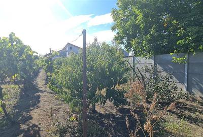Casa de inchiriat pe calea Radnei - strada principala - 22
