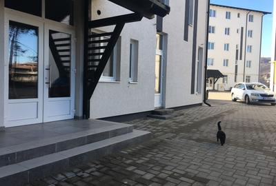 Spațiu comercial, 350 mp în Central