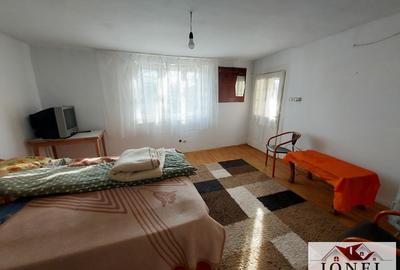 Vanzare casa in Vintu de Jos - 2