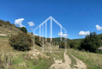 Teren extravilan de vanzare in Sibiu, 40,000 sau 80,000 mp - 1