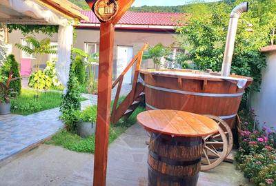 Casa de vis si afacere la cheie in  BERZASCA! - 2