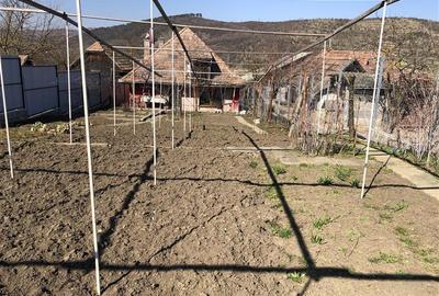 De vanzare casa langa Targu Mures - 12
