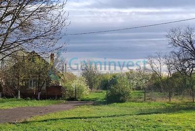 Teren intravilan de vanzare in Niuved, loc Tamaseu, Bihor - 1