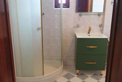 Închir Vila Floreasca 9 camere - 22