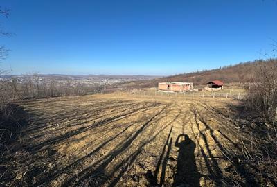 Teren interval Vladiceni - 1