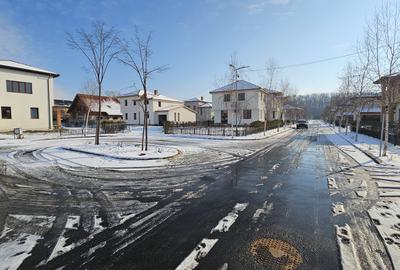Cartier 20 VILE PREMIUM LANGA PENNY CORBEANCA - 19