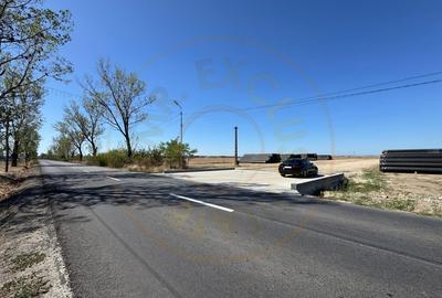 Teren agricol extravilan de 27201 mp, în Căteasca