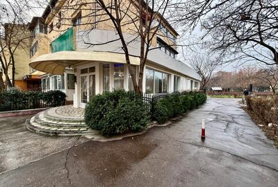 Spațiu comercial stradal cu vizibilitate și trafic pietonal intens | 2 Stejari - 3