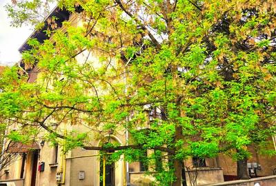 Apartament 3 camere parter in vila plus garsoniera demisol si curte. - 1
