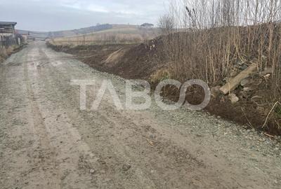 Teren intravilan de vanzare 9300 mp cu acces la utilitati  Sura Mare - 1