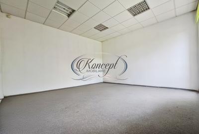 Casa pentru birouri, curte generoasa si 10 pacari zona Paris - 11