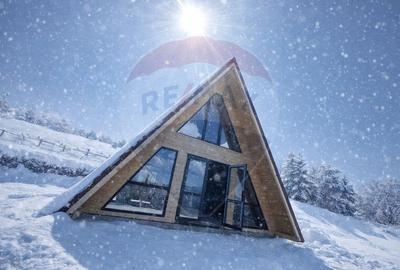 Casă de vacanță + 17.490 mp teren – zonă turistică Transapuseana - 1