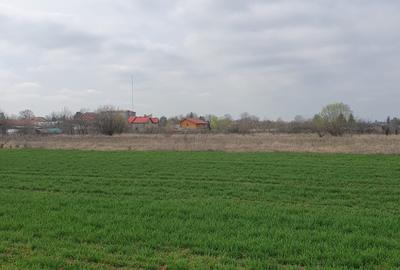 Tâncăbești -Ilfov suprafață 4500 mp - 6