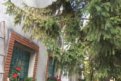 De Vânzare – Fermă de Pomi Fructiferi, 48,8 ha, Iancu Jianu, Jud. Olt - 5