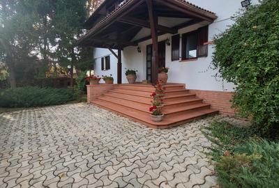 Vila lac snagov in cea mai buna portiune a lacului, ponton, garaj barca, piscina - 43