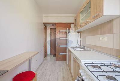Apartament cu 2 camere de vânzare pe str Zorilor, vedere spre Tampa - 19