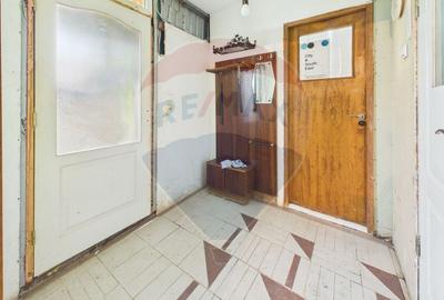 Casă 65 mp + teren 4000 mp, livadă, Butimanu - 14