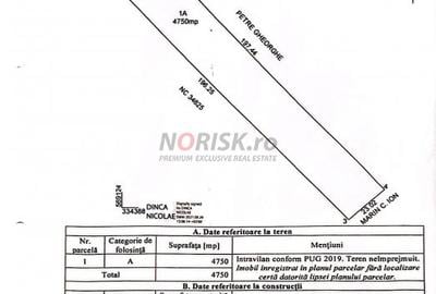 Teren Constructii Intravilan 4750mp SABARENI - 0% COMISION - 8