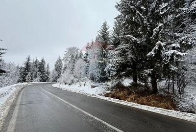 Teren intravilan de 1419 mp, în Moroeni